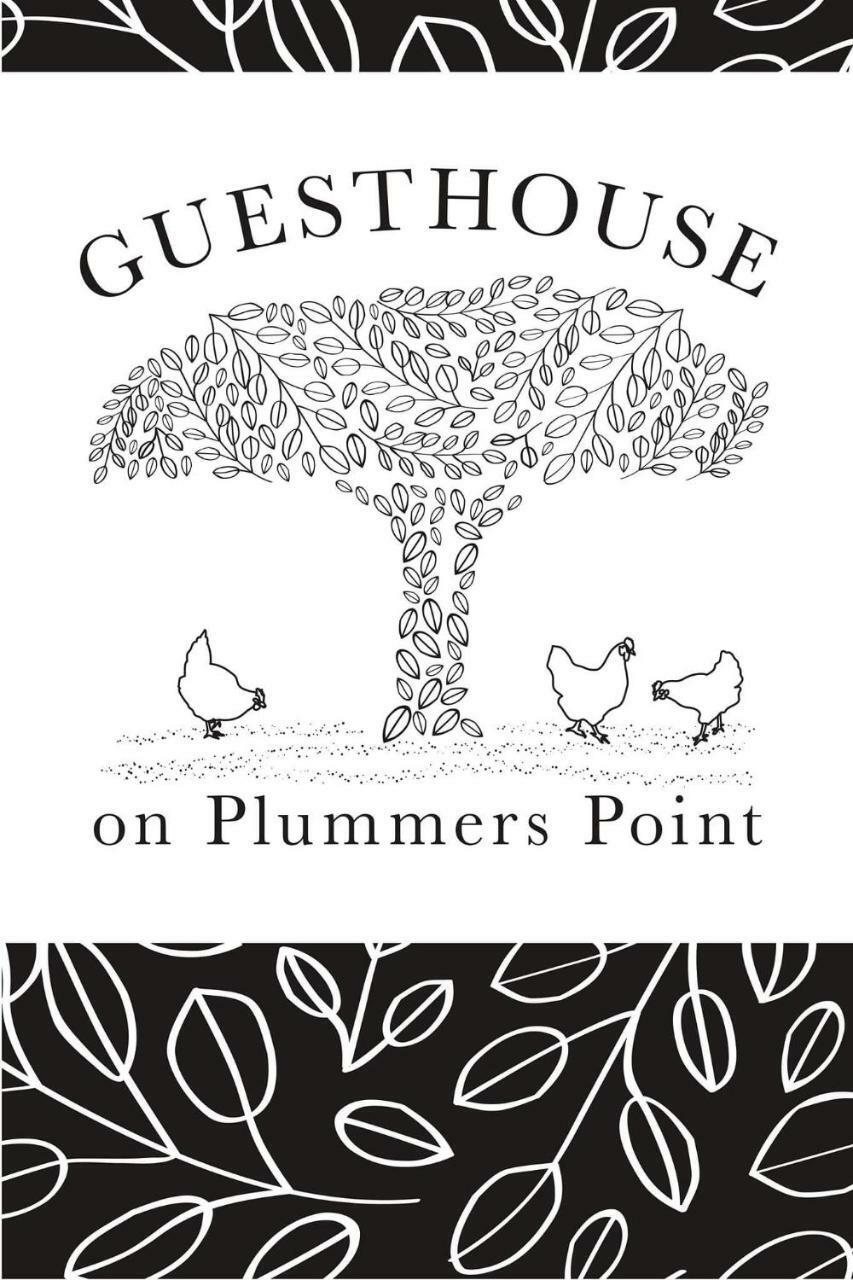 Guest House On Plummers Point 타우랑가 외부 사진